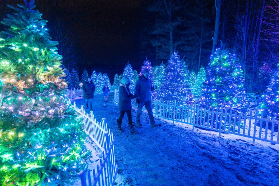 Glenlore Trails presents Aurora; an interactive wintry light show!